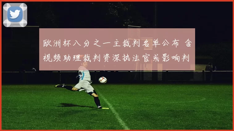 欧洲杯八分之一主裁判名单公布 含视频助理裁判资深执法官或影响判罚尺度