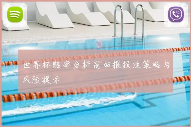 世界杯赔率分析高回报投注策略与风险提示