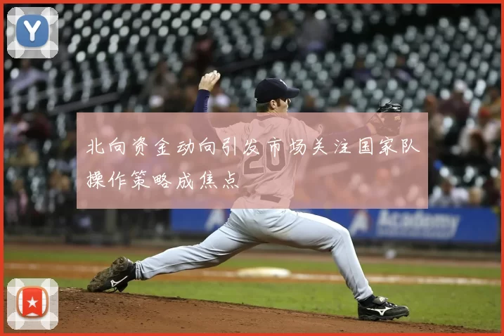 北向资金动向引发市场关注国家队操作策略成焦点
