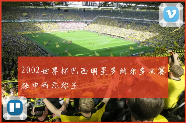 2002世界杯巴西明星罗纳尔多决赛独中两元称王