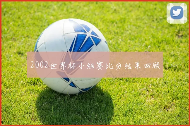 2002世界杯小组赛比分结果回顾
