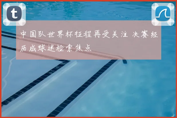 中国队世界杯征程再受关注 决赛经历成球迷检索焦点