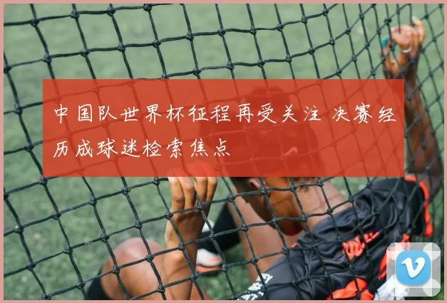中国队世界杯征程再受关注 决赛经历成球迷检索焦点
